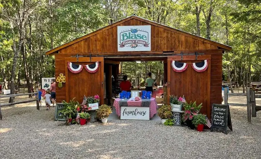 Photo of Pumpkin  at Blase Family Farm Rockwall, Texas - 3