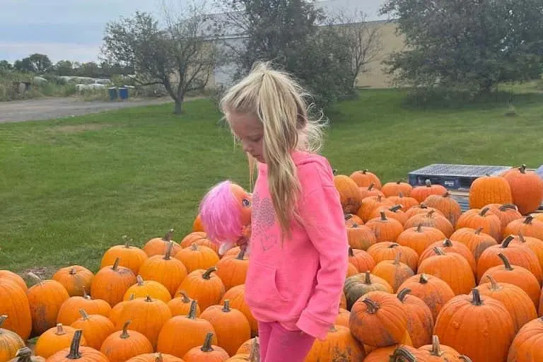 Photo of Pumpkin  at Croix Farm Orchard Hastings, Minnesota