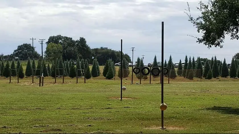 representative photo for Pumpkin Patches in Devine, Texas