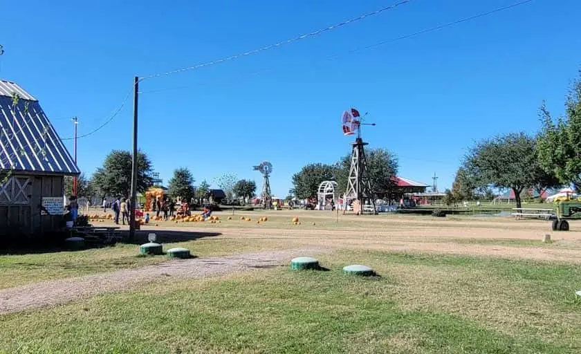 Photo of Pumpkin  at Dewberry Farm Brookshire, Texas - 3