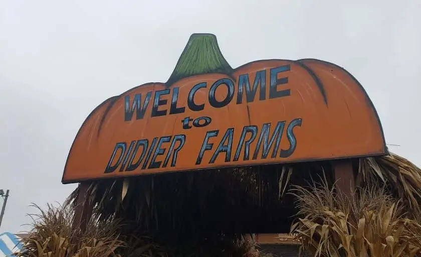 Photo of Pumpkin  at Didier Farm Lincolnshire, Illinois