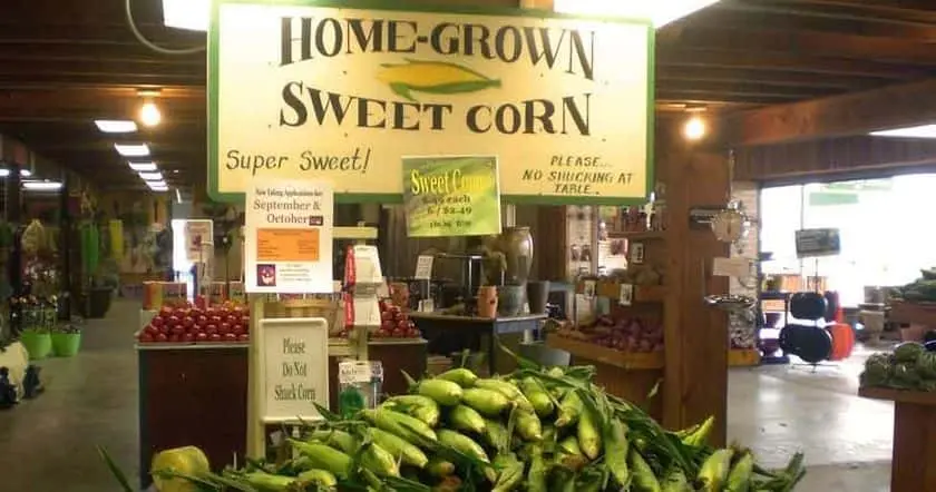 Photo of Pumpkin  at Goebbert’s Farm & Garden Center South Barrington, Illinois