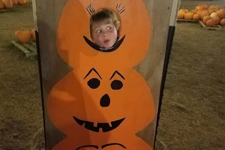 Photo of Pumpkin  at Good News Pumpkin Patch San Antonio San Antonio, Texas - 3