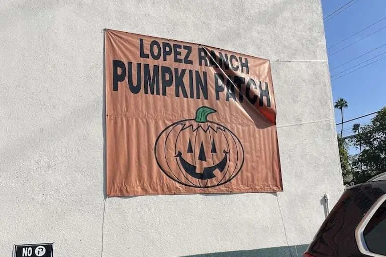 Photo of Pumpkin  at Lopez Ranch Pumpkin Patch & Christmas Trees Venice, California