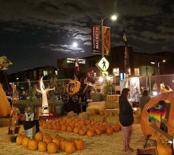 Photo of Pumpkin  at Lopez Ranch Pumpkin Patch & Christmas Trees Venice, California - 2