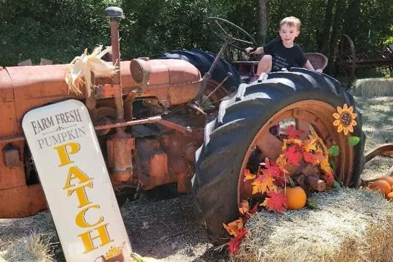Photo of Pumpkin  at Owl Creek Farm San Antonio, Texas - 2