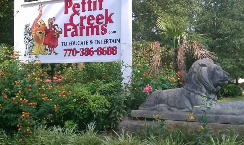 Photo of Pumpkin  at Pettit Creek Farms Cartersville, Georgia