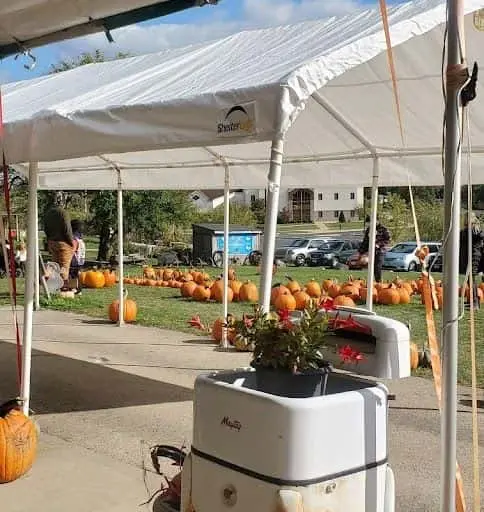 Photo of Pumpkin  at Puckerville Farms Lemont, Illinois - 2