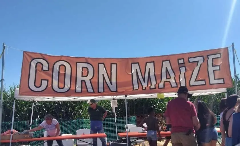 Photo of Pumpkin  at Pumpkin Patch and Corn Maze at Limoneira Ranch Santa Paula, California