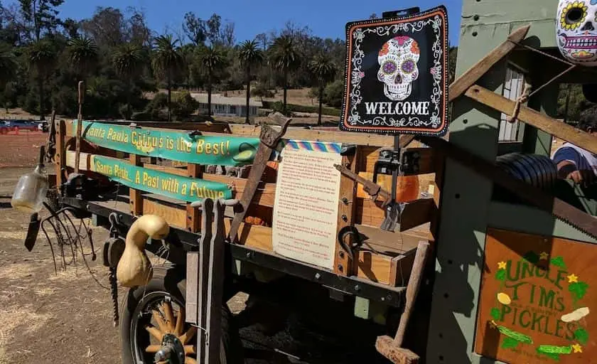 Photo of Pumpkin  at Pumpkin Patch and Corn Maze at Limoneira Ranch Santa Paula, California - 2