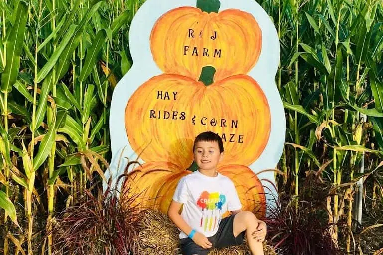 Photo of Pumpkin  at R and J Farm Pumpkin Patch Egg Harbor City, New jersey - 3