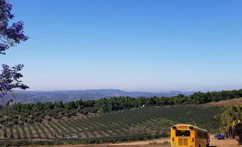 Photo of Pumpkin at Stehly Farms Organics Valley Center, California - 2