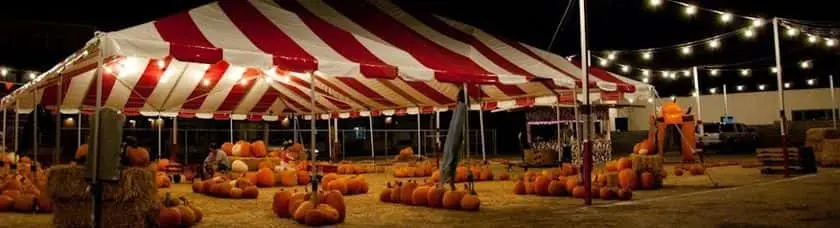 Photo of Pumpkin  at Tahoe Scotty’s Pumpkin Patch and Christmas Tree Lot South Pasadena, California