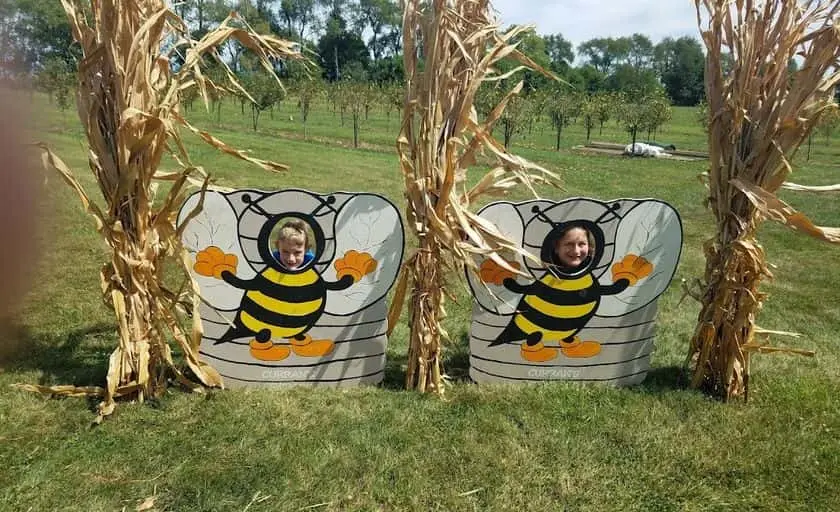 Photo of Pumpkin Patch at Curranʼs Orchard Rockford, Illinois - 2
