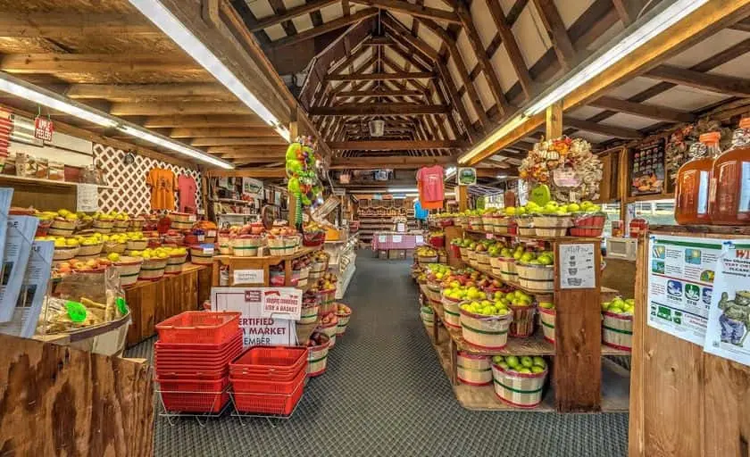 Photo of Pumpkin Patch at Red Apple Barn Ellijay, Georgia