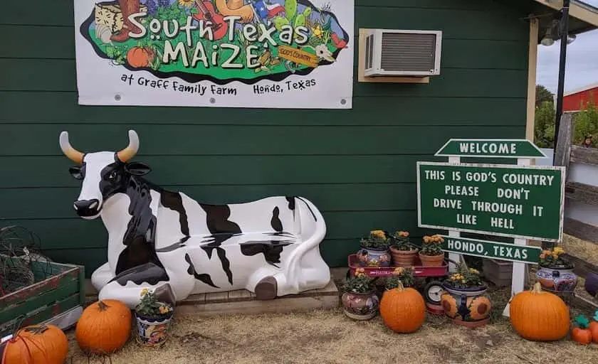 Photo of Pumpkin Patch at South Texas Maize Hondo, Texas - 2