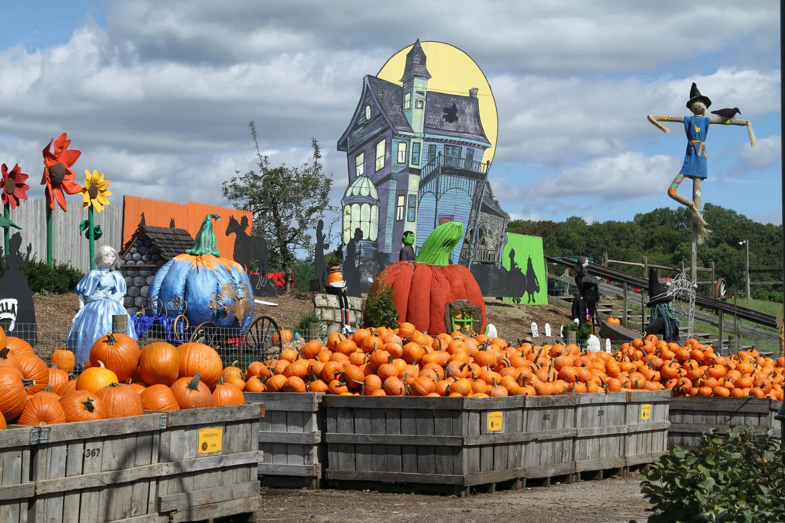 representative photo for Pumpkin Patches in Media, Pennsylvania