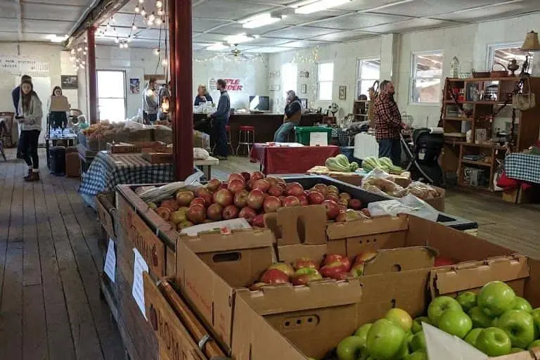 Photo of Raspberry Picking at Dickie Brothers Orchard Roseland, Virginia - 3