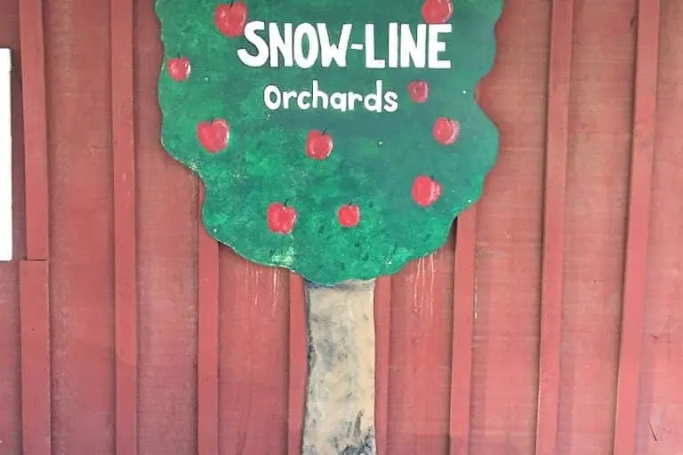 Photo of Raspberry Picking at Snow-Line Orchard Yucaipa, California - 2
