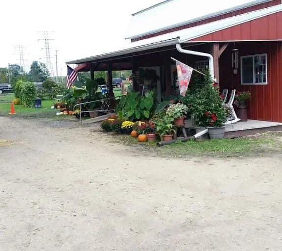 Photo of Raspberry Picking at The Valley Orchard Cherry Valley, Illinois