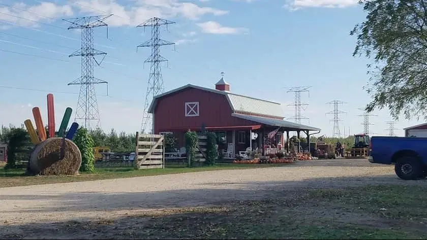 Photo of Raspberry Picking at The Valley Orchard Cherry Valley, Illinois - 3