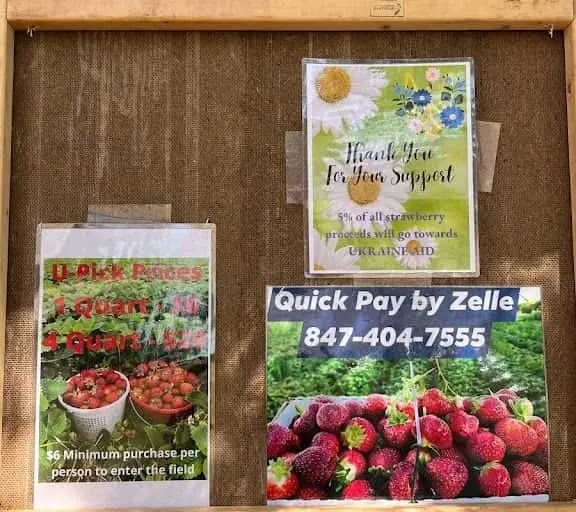 Photo of Raspberry Picking at U-PICK Woodstock, Illinois - 3