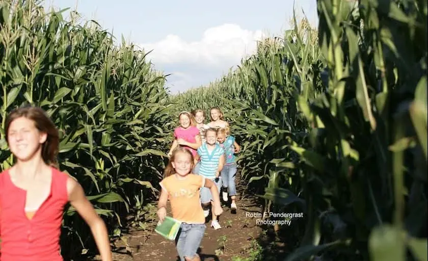 Photo of  Richardson Adventure Farm - Corn Maze Spring Grove, Illinois