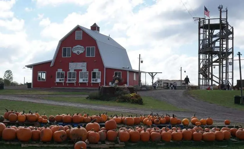 Photo of  Richardson Adventure Farm - Corn Maze Spring Grove, Illinois - 3