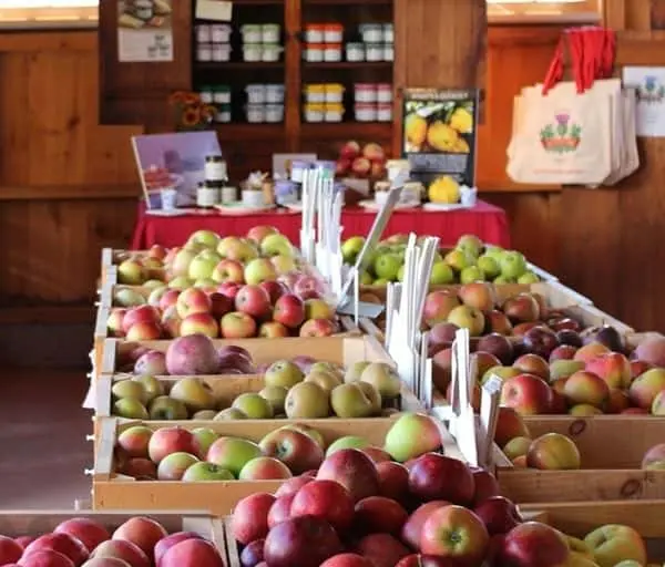 Photo of  Scott Farm Orchard Dummerston, Vermont