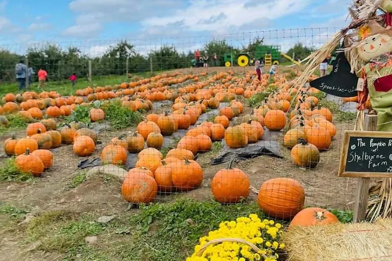 Photo of  Shelburne Farm Stow, Massachusetts - 2