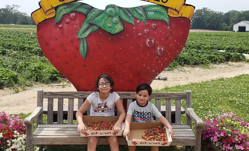 Photo of  Shlagel Farms Waldorf, Maryland - 2