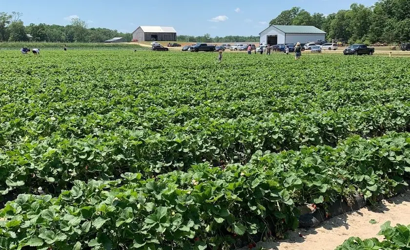 Photo of  Shlagel Farms Waldorf, Maryland - 3
