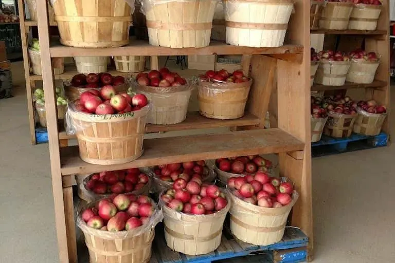 Photo of  Snappy Apples Farms Casnovia, Michigan - 2