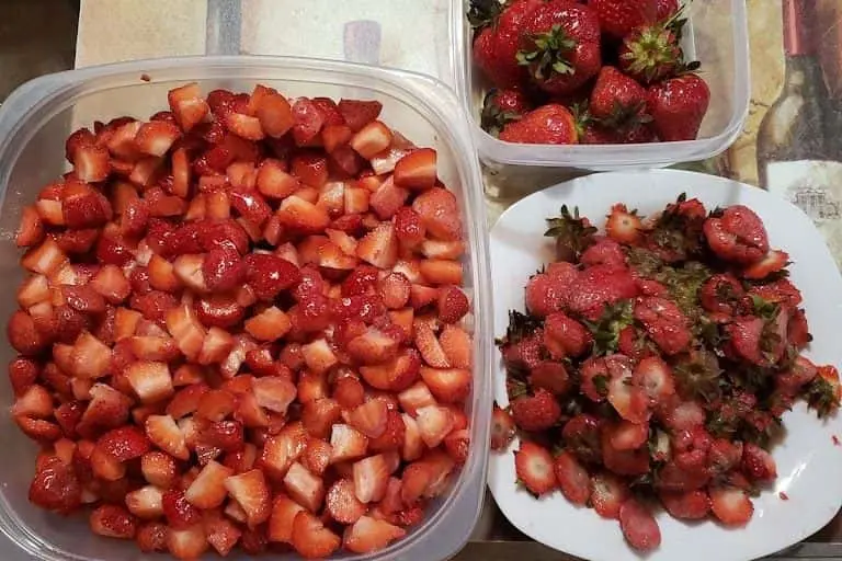 representative photo for Strawberry Picking Farms in Bushwood, Maryland
