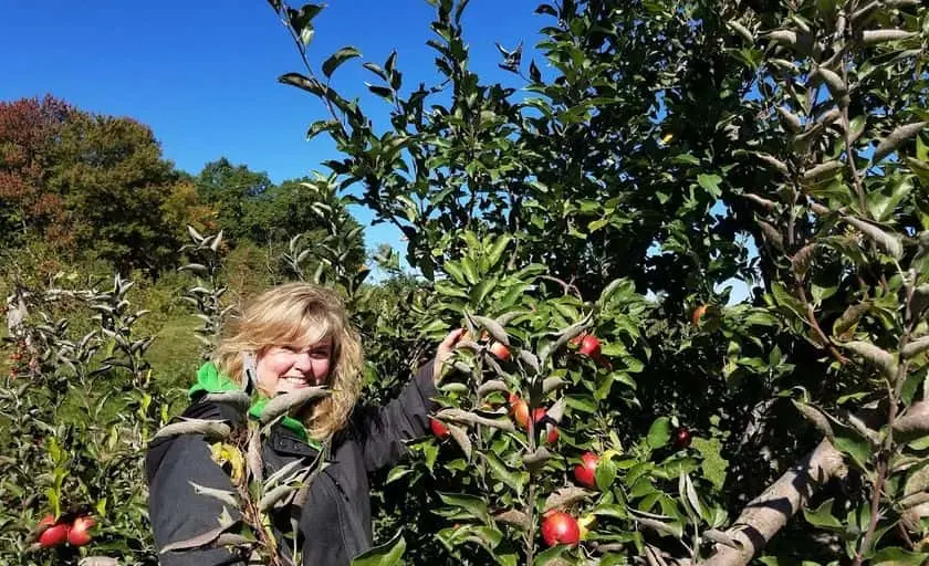 representative photo for Raspberry Picking Farms in Washington Depot, Connecticut