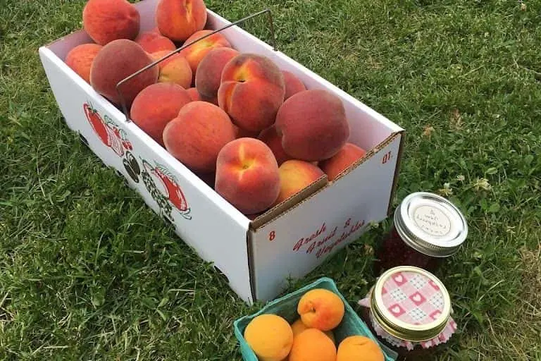 Photo of  Starberry Farm Washington Depot, Connecticut - 3