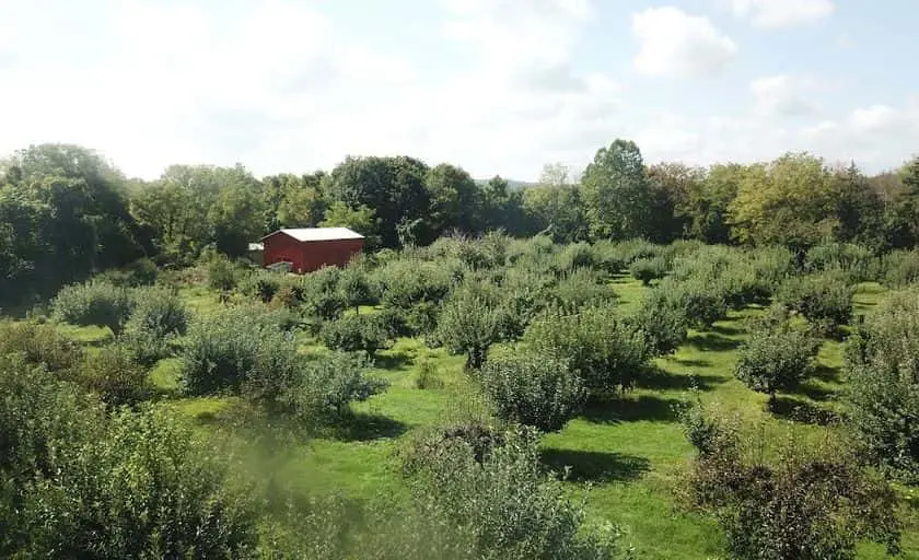Photo of  Stonyfield Orchard Belvidere, New jersey - 2