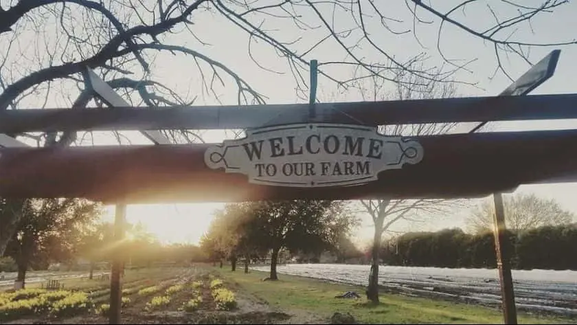 Photo of  Storm Farms Arlington, Texas