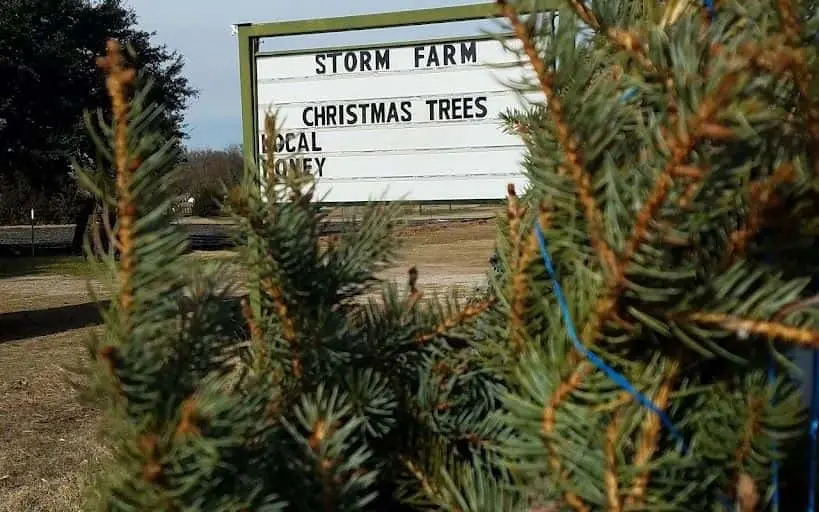 Photo of Storm Farms Arlington, Texas - 3