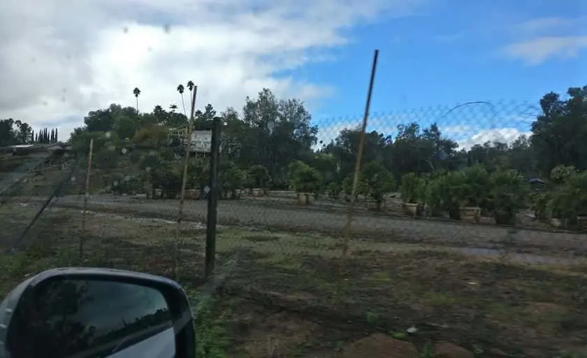representative photo for Strawberry Picking Farms in Escondido, California