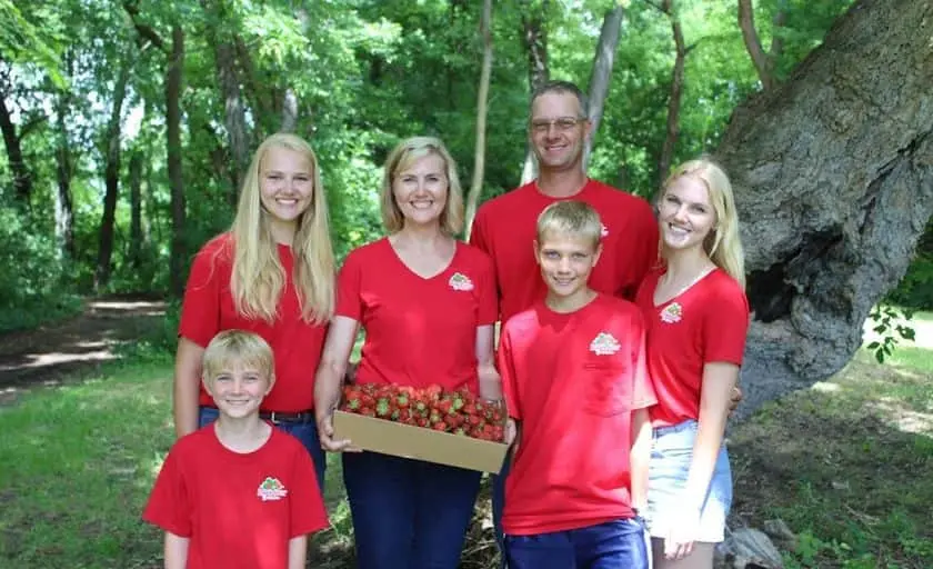 Photo of Strawberry Picking at Brouwer Berries Raymond, Minnesota