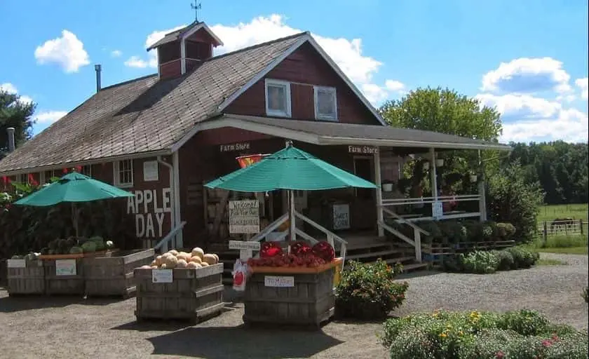 Photo of Strawberry Picking at Terhune Orchards Princeton, New jersey