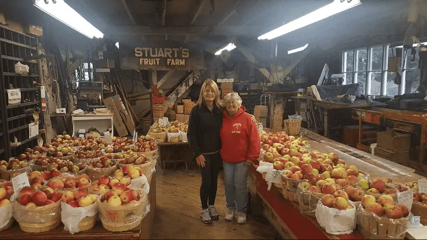 representative photo for Peach Picking Farms in Granite Springs, New York