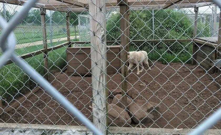 Photo of Summerfield Zoo Belvidere, Illinois - 3