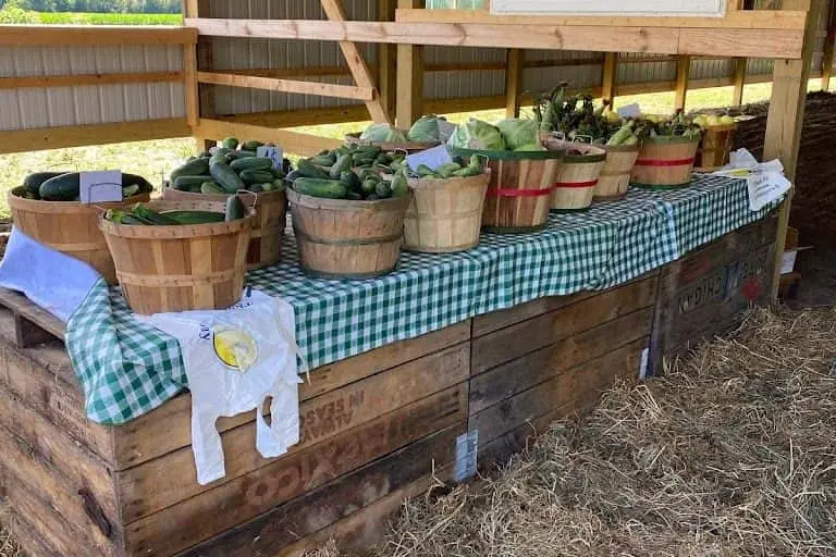 Photo of  Sun Berry Orchard Farm - Woodstock Woodstock, Illinois - 3