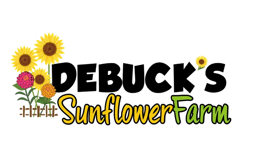 Photo of Sunflower  at DeBucks Sunflower Farm Belleville, Michigan