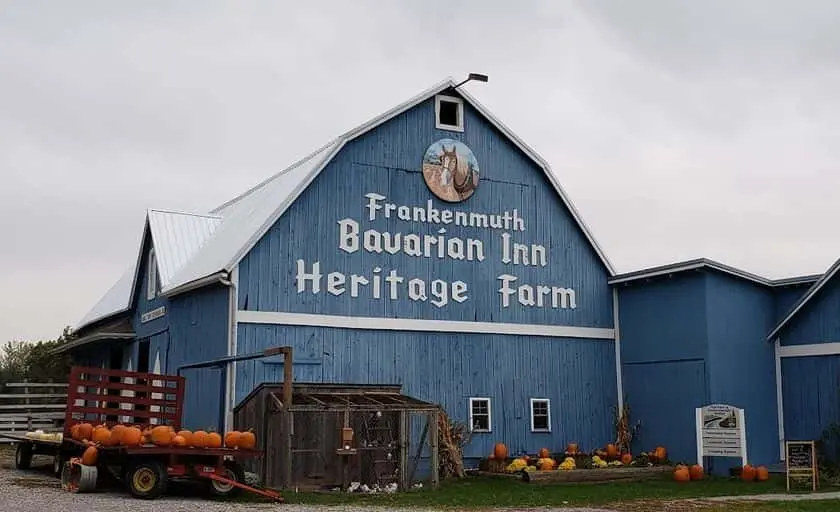 representative photo for Sunflower  Farms in Frankenmuth, Michigan