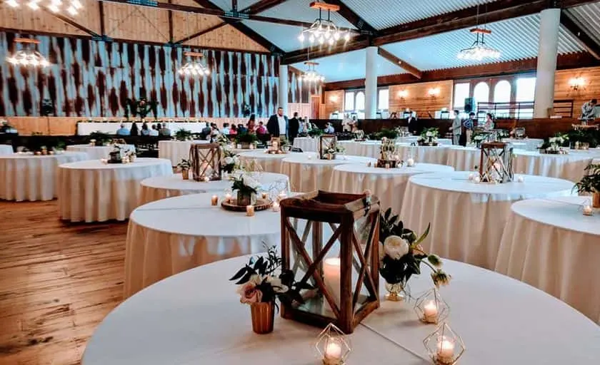 representative photo for Sunflower  Farms in Hendersonville, North Carolina