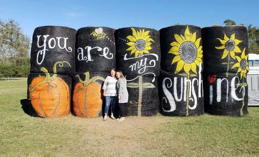 representative photo for Sunflower  Farms in Montgomery, Texas