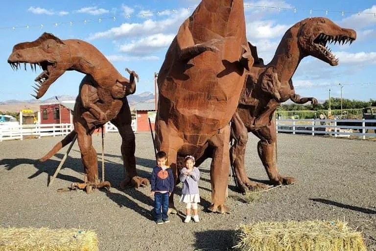 representative photo for Sunflower  Farms in Hollister, California